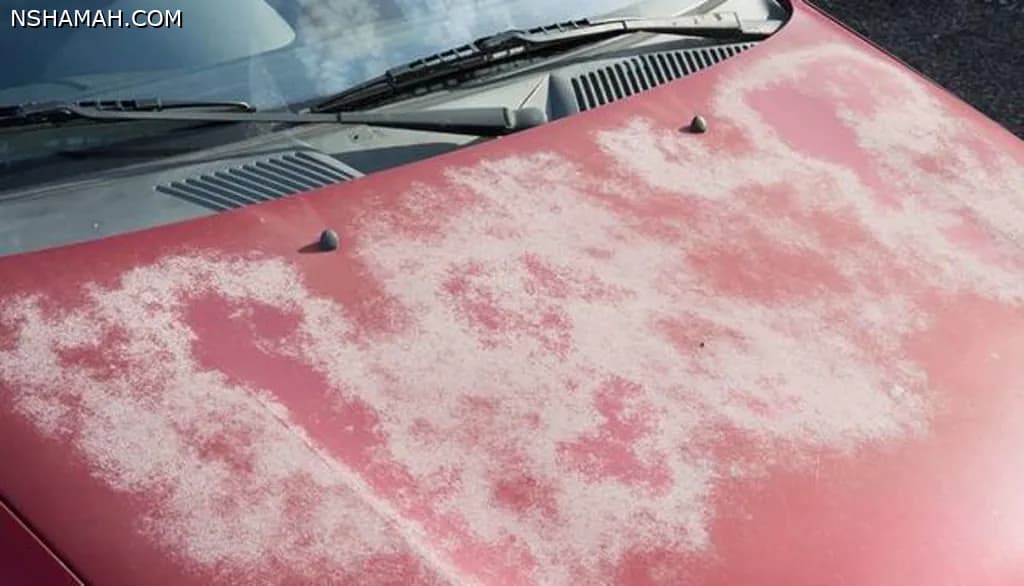 نصائح هامة لحماية طلاء السيارة من حرارة الشمس في الصيف نصائح هامة لحماية طلاء السيارة من حرارة الشمس في الصيف